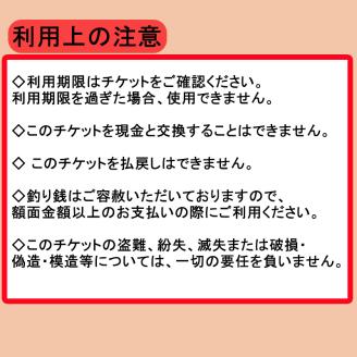 松山に泊まろう！松山宿泊13施設と伊予鉄タクシーで利用可能なチケット6,000円分
