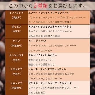 【スペシャルティコーヒー】マスターこだわりセレクト 5種ドリップコーヒー 15袋セット