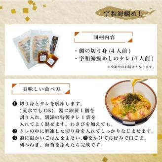 愛媛県産 宇和海鯛めし 2人前 × 2パック ( 4人前 )  宇和島風 鯛めし 愛媛 松山 グルメ 魚 鯛 ごはん