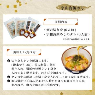 愛媛県産 宇和海鯛めし 2人前 × 3パック ( 6人前 )  宇和島風 鯛めし 愛媛 松山 グルメ 魚 鯛 ごはん