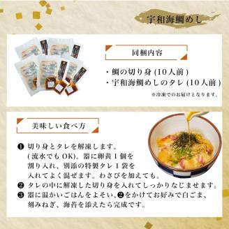 愛媛県産 宇和海鯛めし 2人前 × 5パック ( 10人前 )  宇和島風 鯛めし 愛媛 松山 グルメ 魚 鯛 ごはん