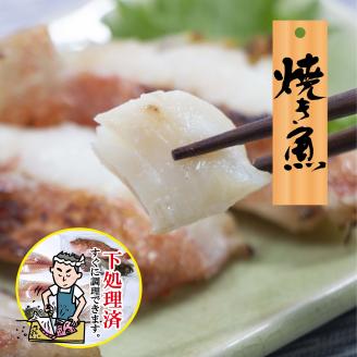 【嶋矢水産】 瀬戸内の鮮魚 直送便 下処理済み 産地直送 20000円 台 四人前 刺身 煮魚 焼き魚 瀬戸内海 愛媛 松山 老舗 魚 人気