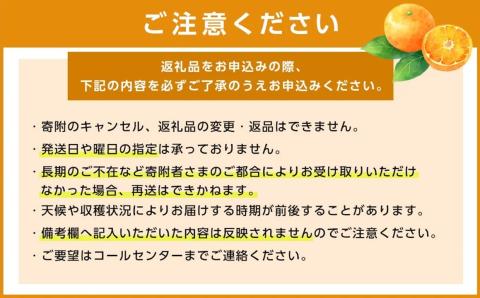 【先行予約】【2025年12月中旬から発送予定】温州みかん「南柑20号」＜秀品＞約5kg