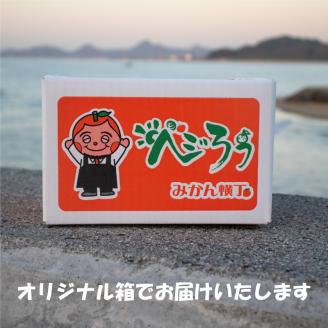訳あり 家庭用 はれひめ S~3L玉 約5㎏ ( 訳あり はれひめ みかん 柑橘 松山 愛媛県) 約5kg