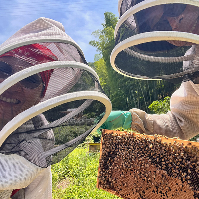 BeeCampはちみつ味わいセット 2瓶セット(140gx2瓶) | はちみつ ハチミツ 国産 非加熱 純粋 生はちみつ 百花蜜