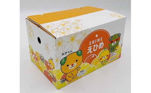 【順次発送中】松山市中島産 はるみ S～Lサイズ （約2.5kg）