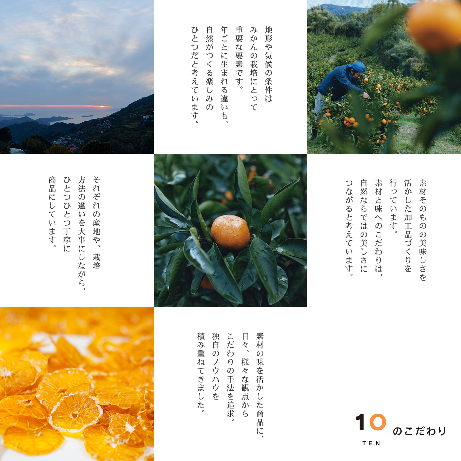 【ジュース10本ハンディゼリー14個】愛媛みかん 果汁100% ストレートジュースとゼリーのギフトセット ジュース10本とゼリー14個