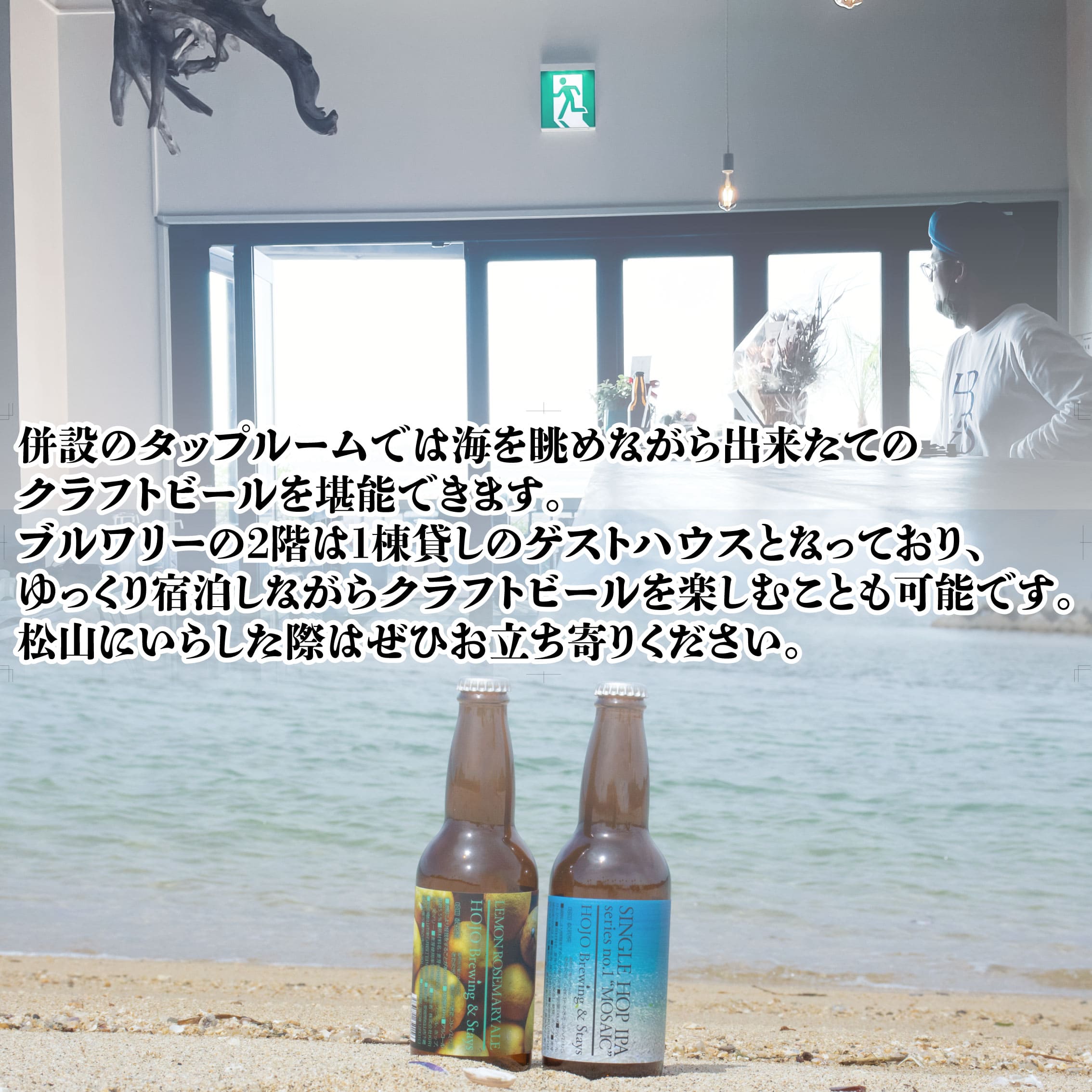 HOJO Brewing & Stays クラフトビール 全4回 定期便 4本セット おまかせセット | ビール クラフトビール 地ビール クラフト クラフトビール飲み比べ クラフトビール 飲み比べ 地ビール 飲み比べ 瓶ビール 愛媛県 松山市 北条 クラフトビール