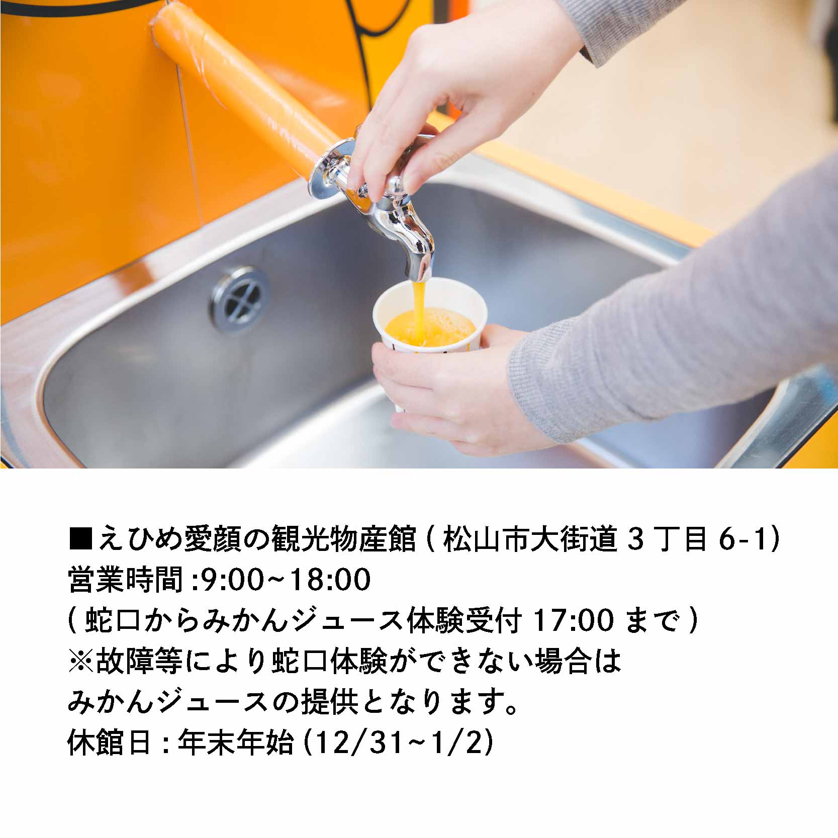 松山城と宇和島鯛めし&みかん蛇口体験 3000円分 温泉 旅行 トラベル チケット 観光 人気 おすすめ