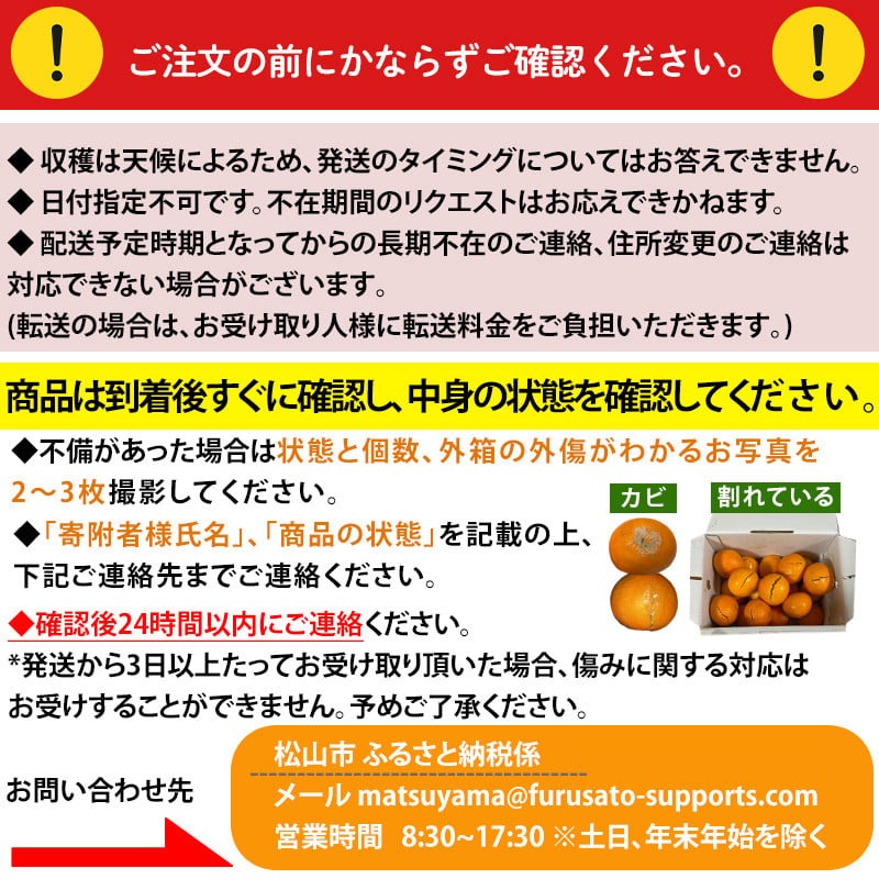 11月下旬から頃発送 】 愛果28号 ＜ 秀品 ＞ 約3kg ( 贈答用高級 化粧箱入り ) | 愛果28号 愛果28号 愛果28号 愛果28号  愛果28号 愛果28号 愛果28号 愛果28号: 松山市ANAのふるさと納税