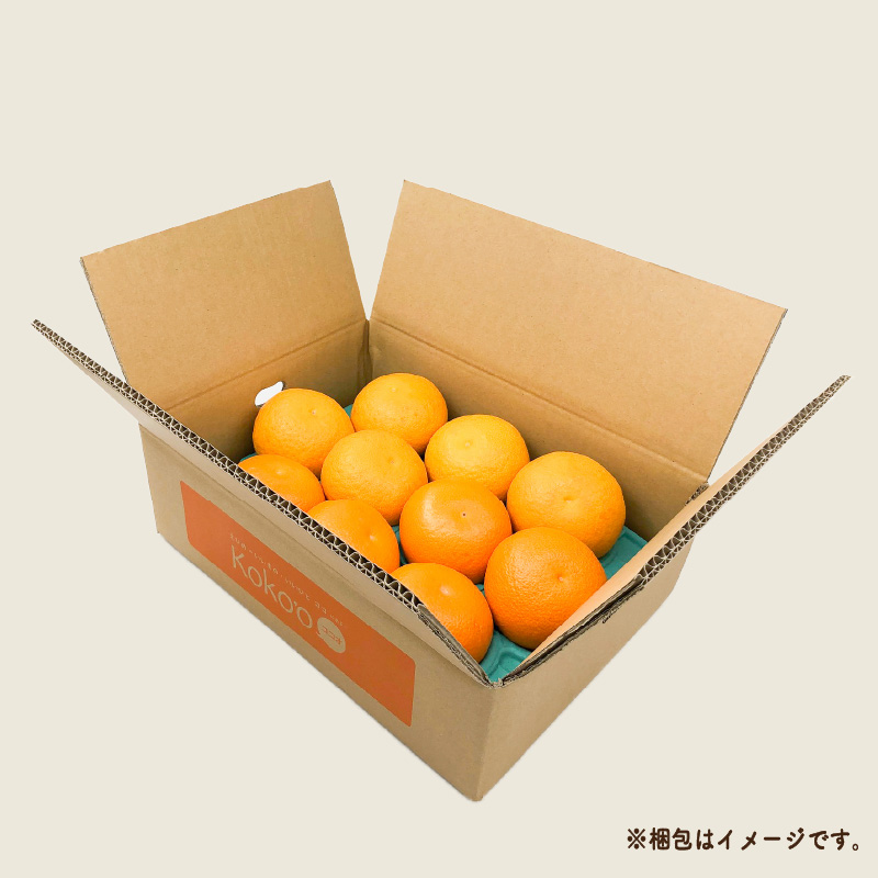 【先行予約】晩柑食べ比べセット～紅八朔&甘夏～(各5玉) | 柑橘 かんきつ 晩柑 紅八朔 甘夏 フルーツ 果物 期間限定 【2026年3月中旬頃から発送予定】愛媛県 松山市 ココオ Koko'o