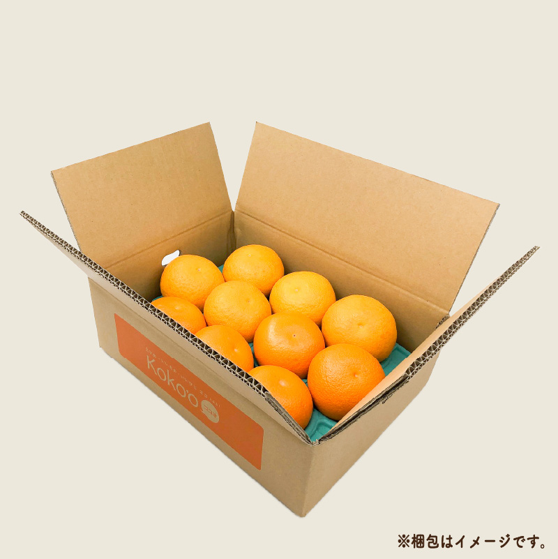 【先行予約】初夏の食べ比べセット～甘夏&河内晩柑～(各5玉) | 柑橘 かんきつ 甘夏 河内晩柑 フルーツ 果物 期間限定 【2026年4月上旬頃から発送予定】愛媛県 松山市 ココオ Koko'o
