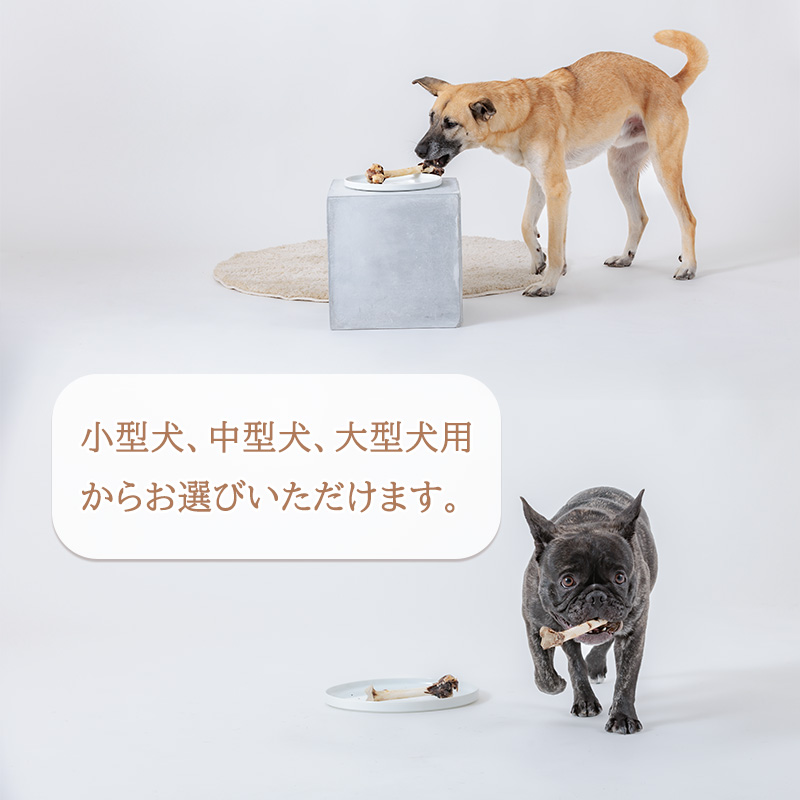 【イノシシ・中型犬用】ロヴァリのジビエおやつ いろいろお試しセット（ 愛犬 ジビエ おやつ ご褒美 イノシシ シカ 猪 鹿 中型犬 シニア犬  保存料不使用  愛媛 松山 ） イノシシ・中型犬用