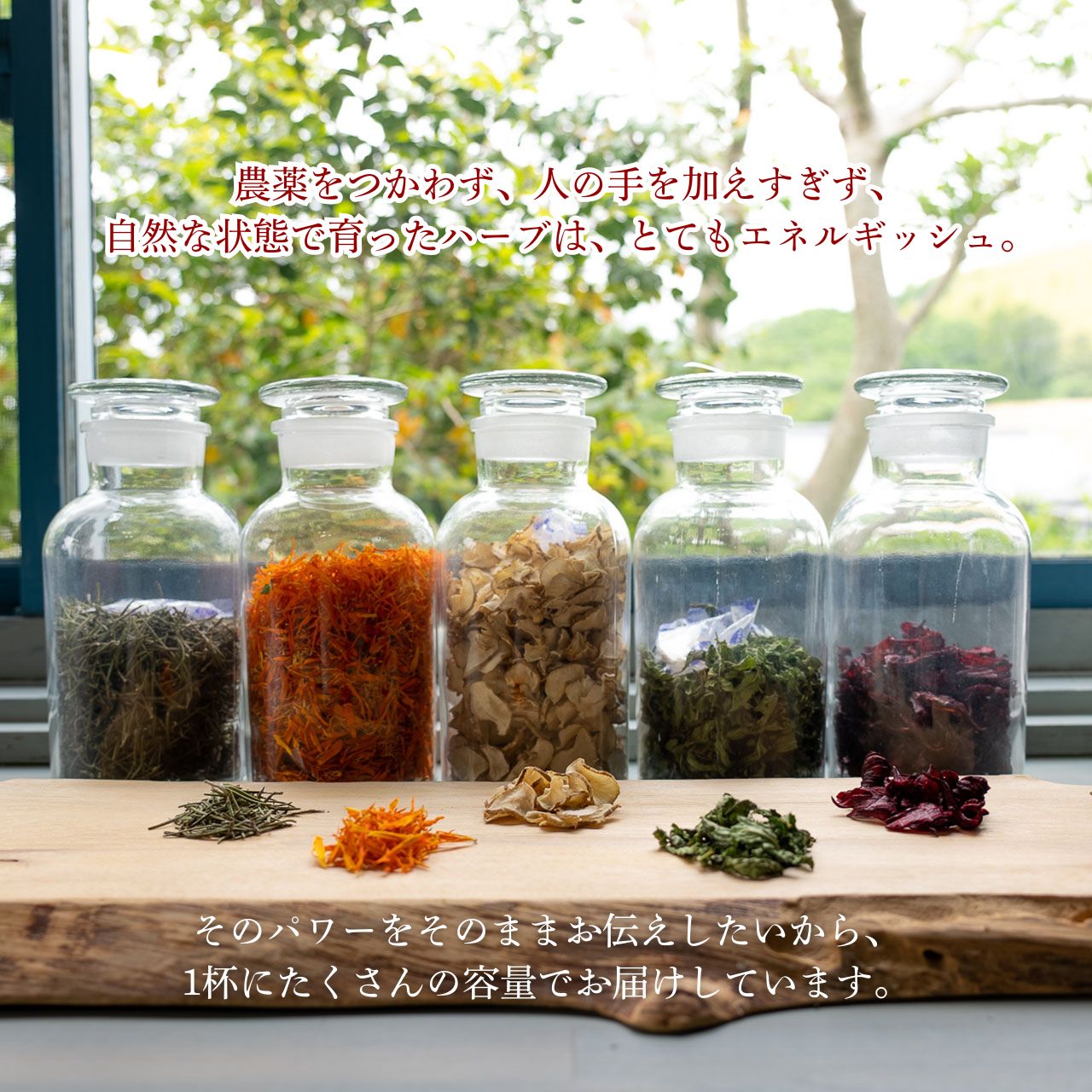 【ティーバッグ】 【定期便】  朝・昼・夜のハーブティー ハーブウォーター セット 4回 定期便   マダムロミ （ ハーブ ノンカフェイン リラックス   栽培期間中 農薬不使用 化学肥料不使用   愛媛 松山 ） 【MDR002_teabag】 ティーバッグ