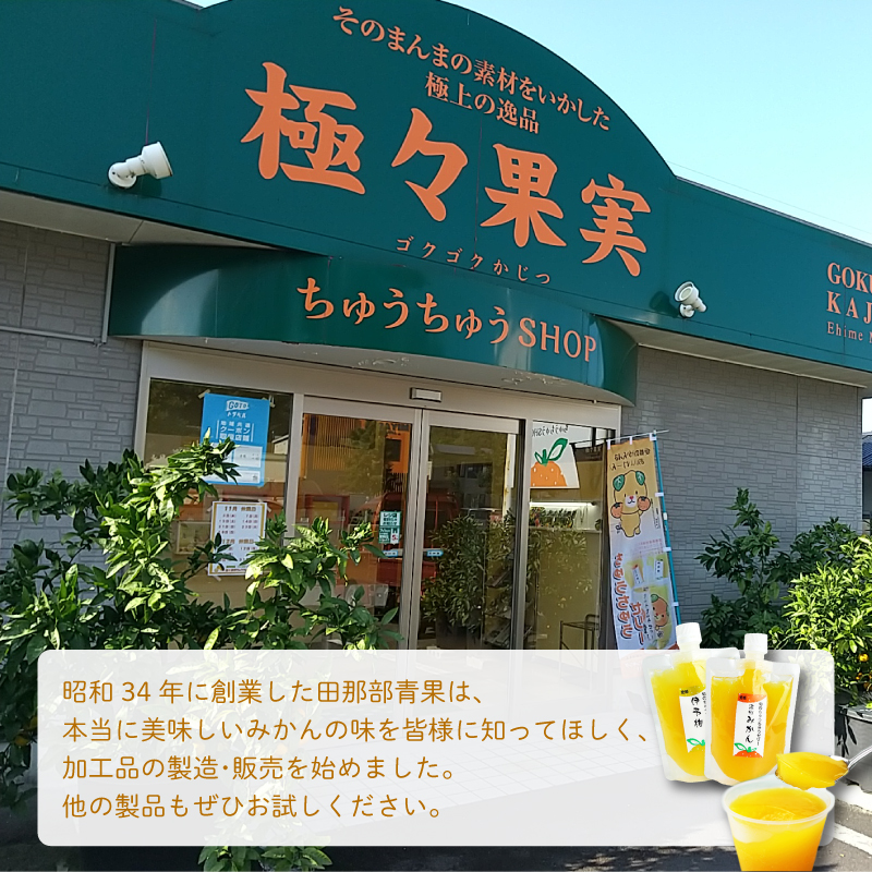 ちゅうちゅうゼリー 定期便 5個×3回 果汁ゼリー 柑橘 ゼリー みかん 果物ゼリー スイーツ 愛媛県 松山市 定期便3回×5本 ¥23,000