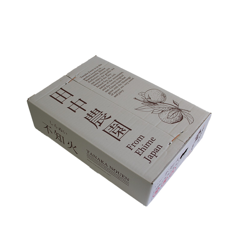 伊予柑 いよかん 約10kg 【家庭用】【1月上旬から順次発送】