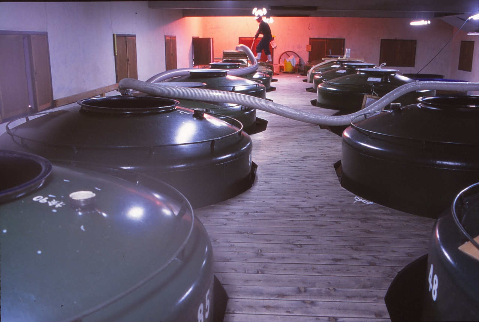 【ふるさと納税限定】日本酒 雪雀300ml×３本セット お酒 日本酒 アルコール 特別本醸造酒 飲み比べ プレゼント ギフト お米 常温 愛媛県 松山市