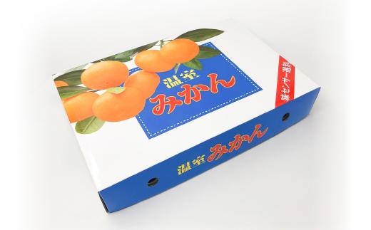 【6月下旬から発送】 2025年6月より発送 ハウスみかん（温室みかん・ハウス栽培)【期間限定】