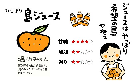 みかんジュース  みかんジュース 「丸しぼり果汁」 720mｌ×2本 化粧箱入 希望の島
