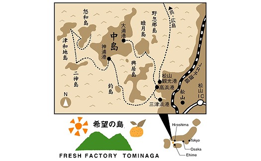 だいだい果汁 150ml×6本 希望の島