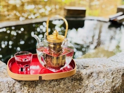 道後温泉【大和屋別荘】宿泊ギフト券（30,000円分） | 温泉 旅行 トラベル チケット 宿泊 宿泊券 旅館 予約 観光 愛媛県 松山市 人気 おすすめ