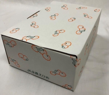 せとかのゼリー12個入り