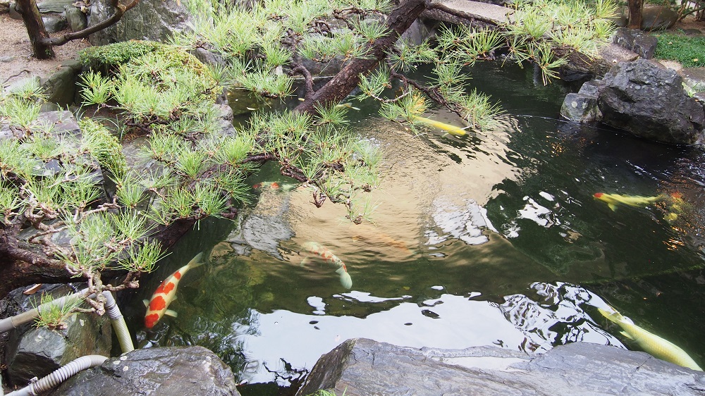 【料理旅館　栴檀】ご夕食ペア券 大人2名様