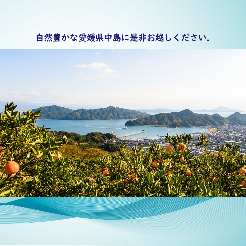 ほしふるテラス姫ケ浜 宿泊利用券（3000円分） 宿泊利用券 3000円分