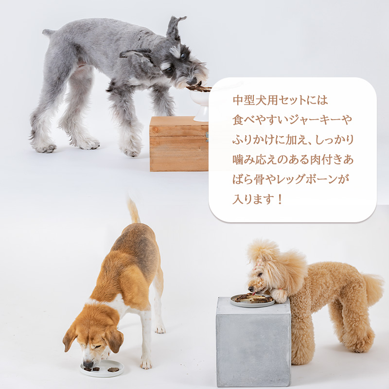 【イノシシ・中型犬用】ロヴァリのジビエおやつ いろいろお試しセット（ 愛犬 ジビエ おやつ ご褒美 イノシシ シカ 猪 鹿 中型犬 シニア犬  保存料不使用  愛媛 松山 ） イノシシ・中型犬用