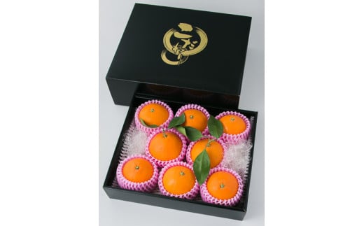 【発送は11月下旬から】 松山市産 愛果28号 L～3L