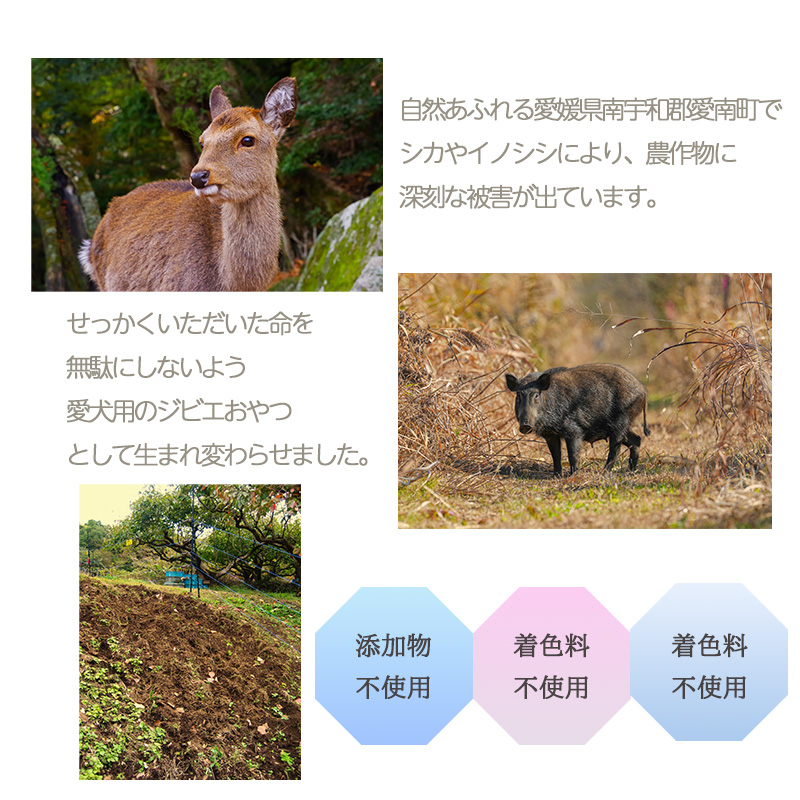 【シカ&イノシシ】ロヴァリのジビエおやつ ふりかけ イノシシ シカ（ 愛犬 ジビエ おやつ ご褒美 イノシシ シカ 猪 鹿 小型犬 シニア犬  保存料不使用  愛媛 松山 ） シカ&イノシシ