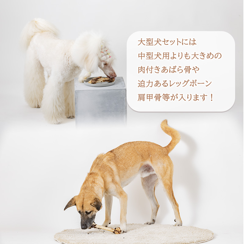 【イノシシ・大型犬用】ロヴァリのジビエおやつ いろいろお試しセット（ 愛犬 ジビエ おやつ ご褒美 イノシシ シカ 猪 鹿 大型犬 シニア犬  保存料不使用  愛媛 松山 ） イノシシ・大型犬用