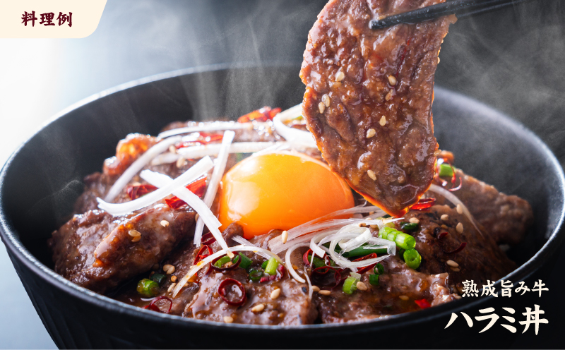 熟成旨み 牛やわらかハラミカット 1kg 焼肉 (200g×5パック) 1kg ¥10,000