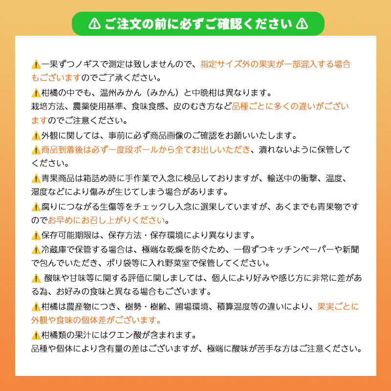 愛果28号 (紅まどんな と同品種) 化粧箱 8玉から12玉 【2025年11月中旬から順次発送】 あいか 紅まどんな 紅マドンナ と 同品種 高級 みかん 愛媛 まどんな 柑橘 果物 くだもの フルーツ おすすめ 人気 お取り寄せ グルメ ギフト 期間 数量 限定 愛媛県 松山市 蓮果園