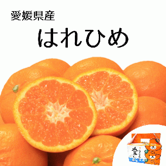 【2025年12月下旬頃から順次発送】はれひめ 約2.5kg みきゃん箱入 愛媛県産 柑橘 みかん 贈答 可愛い 愛媛県 松山市