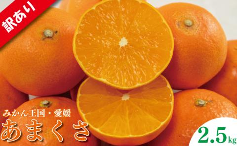訳あり みかん 家庭用 あまくさ 約2.5㎏ ( 訳あり みかん 訳あり柑橘 訳あり商品 あまくさ みかん 柑橘　紅まどんな の親品種 松山 愛媛県 )