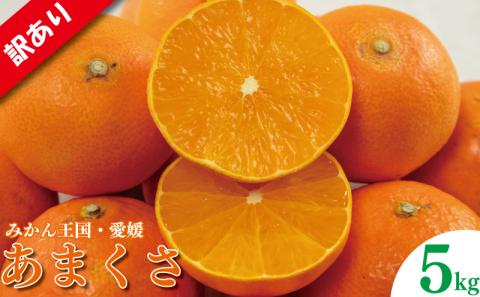 訳あり みかん 家庭用 あまくさ 約5㎏ ( 訳あり みかん 訳あり柑橘 訳あり商品 あまくさ みかん 柑橘 紅まどんな の親品種 松山 愛媛県 )