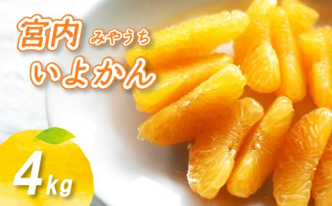 【2026年1月上旬から順次発送】 宮内いよかん 4kg 数量選択可 いよかん 伊予柑 みかん 数量限定 みかん 愛媛県産 みかん いよかん 伊予柑 松山市 みかん 中島 みかん いよかん 伊予柑 みかん 蜜柑 いよかん 伊予柑 イヨカン みかん いよかん 伊予柑 愛媛県 松山市 4kg ¥7,000