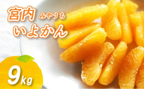 【2026年1月上旬から順次発送】 宮内いよかん 9kg 数量選択可 いよかん 伊予柑 みかん 数量限定 みかん 愛媛県産 みかん いよかん 伊予柑 松山市 みかん 中島 みかん いよかん 伊予柑 みかん 蜜柑 いよかん 伊予柑 イヨカン みかん いよかん 伊予柑 愛媛県 松山市 9kg ¥10,000