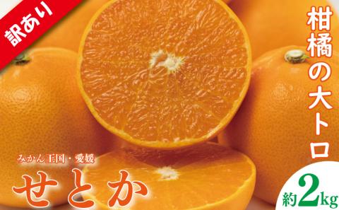 訳あり みかん 家庭用 せとか S-4Ｌ玉 約2㎏( 訳あり みかん 訳あり柑橘 訳あり商品 せとか みかん 柑橘 松山 愛媛県 )