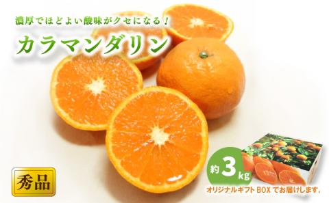 【2026年4月上旬頃から発送予定】カラマンダリン ＜秀品＞ 約3kg (M-L) ギフトBOX入り | みかん カラマンダリン 秀品 オレンジ 柑橘 贈答箱 愛媛県 松山市 ココオ Koko'o