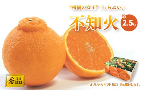 【先行予約】【2026年2月上旬から発送予定】不知火(しらぬい) ＜秀品＞ 約2.5kg (L-3L / 8-12玉 ) ギフトBOX入り | みかん 不知火 秀品 しらぬい 贈答箱 愛媛県 松山市 ココオ Koko'o