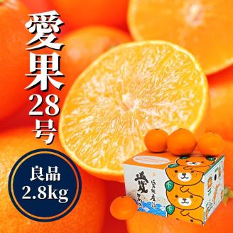 愛果28号 (紅まどんな と同品種) 約2.8kg 良品 【2025年12月頃から順次発送】 2.8kg