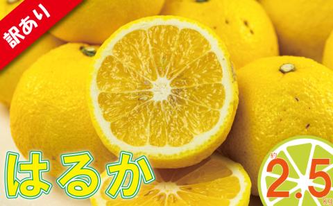 訳あり みかん 家庭用 はるか 約2.5kg ( 訳あり みかん 訳あり柑橘 訳あり商品 はるか みかん 柑橘 松山 愛媛県 )