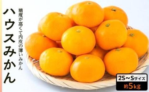 【先行予約】 8月下旬から発送 ハウスみかん 2SからSサイズ 5kg （愛媛県産 みかん 蜜柑 オレンジ 柑橘 果物 フルーツ 家庭用 お取り寄せ おすすめ 愛媛県 松山市 ） 5kg