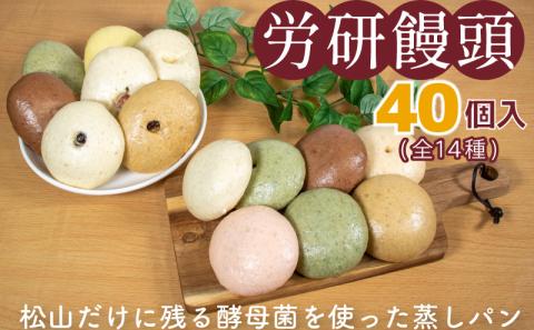 労研饅頭（ろうけんまんとう）当店おすすめ40個セット 冷凍