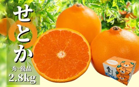 秀～優品 約2.8kg ＜2026年2月～3月頃発送＞