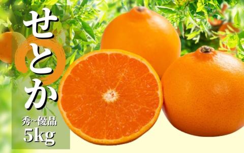 【せとか】秀～優品 約5kg ＜2026年2月～3月頃発送＞