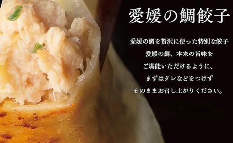 愛媛の鯛ぎょうざ（30個）