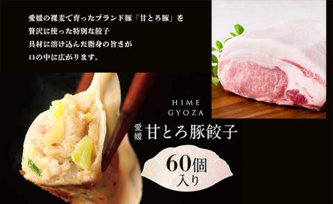 愛媛の甘とろ豚餃子(60個）